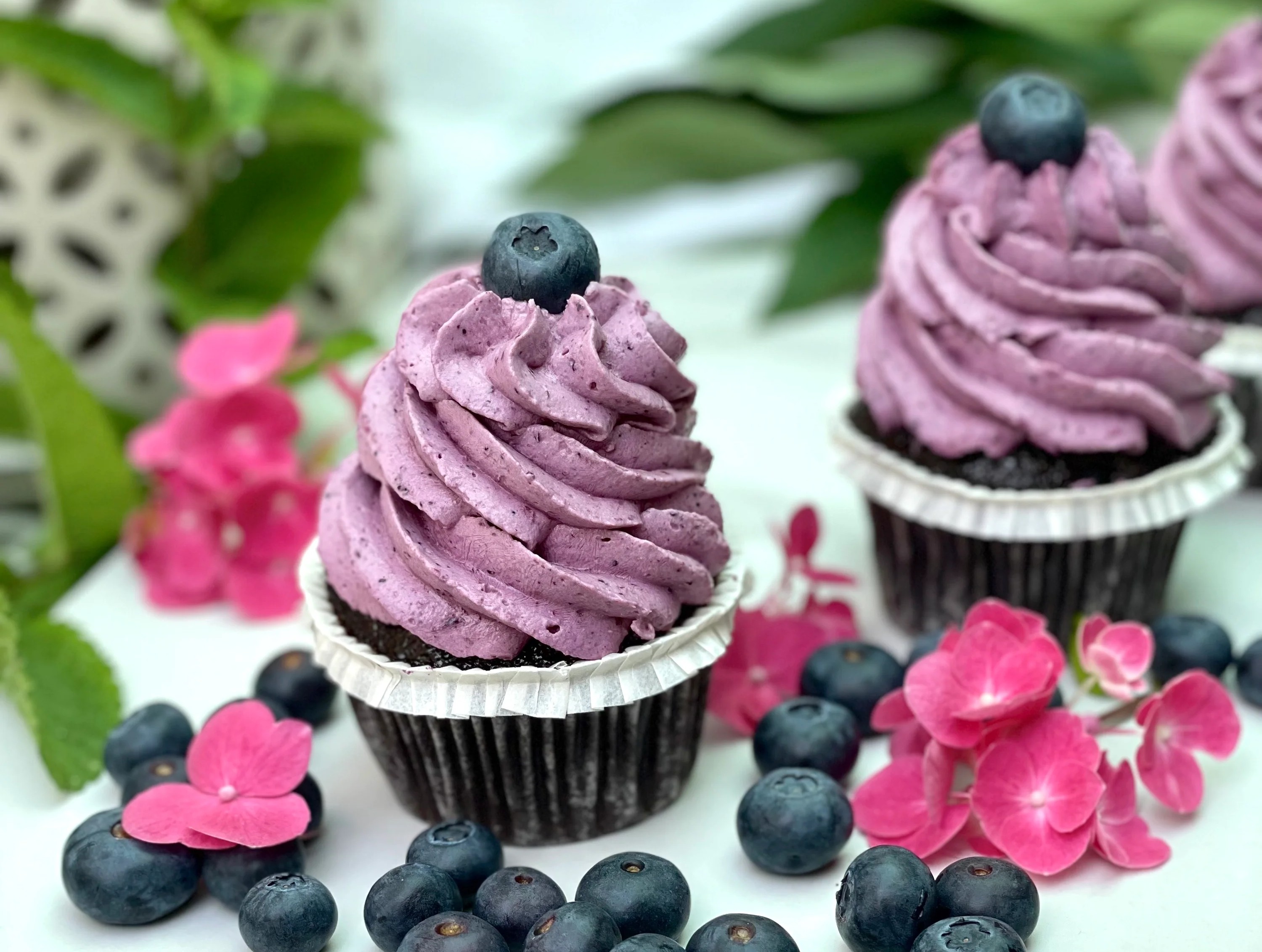 Heidelbeere Cupcakes